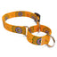 Folk Flowers Dog Collar