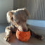 FreezPumpkin Dog Toy - Fun & Durable Pumpkin Enrichment Chew For Moderate Chewers