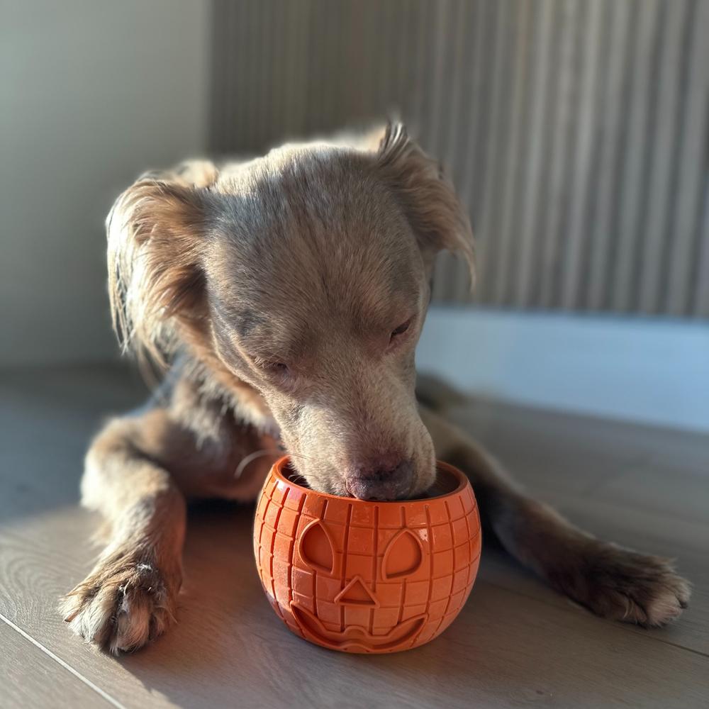 FreezPumpkin Dog Toy - Fun & Durable Pumpkin Enrichment Chew For Moderate Chewers
