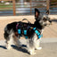 K9R - M5 MOLLE Light Vest