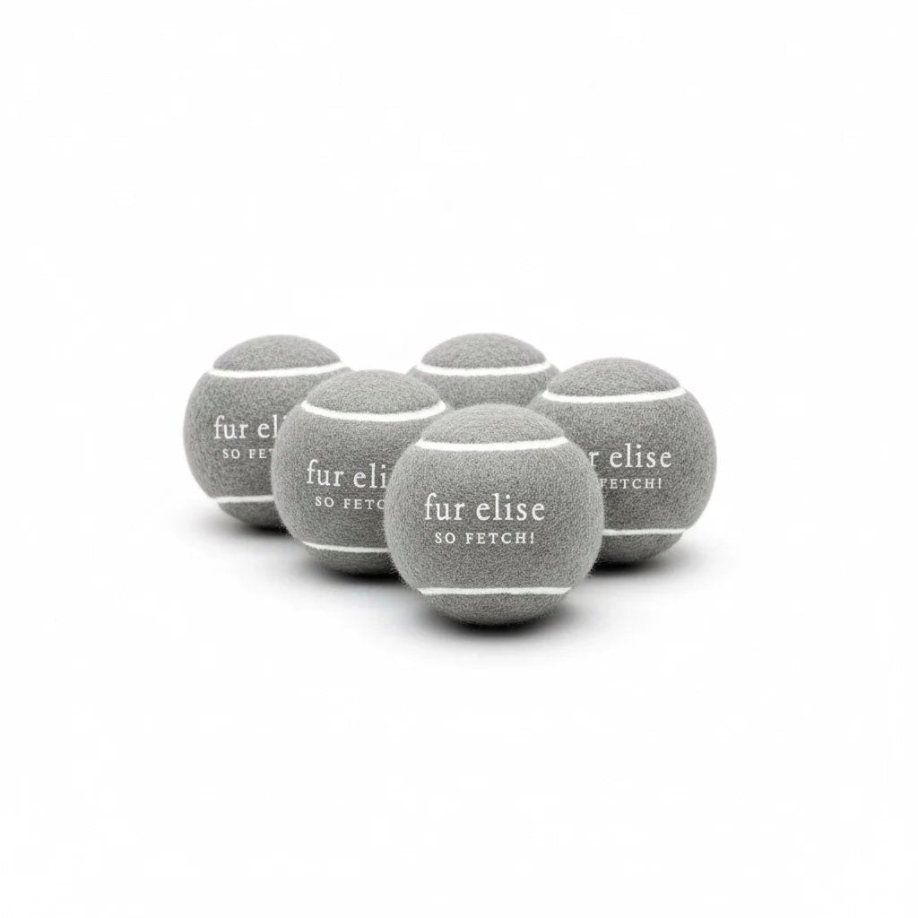 Fur Elise So Fetch! Tennis Ball Pack of 5 - Steel