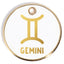 Gemini Tag