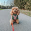 Dog Adjustable Harness - Hot Cocoa Club