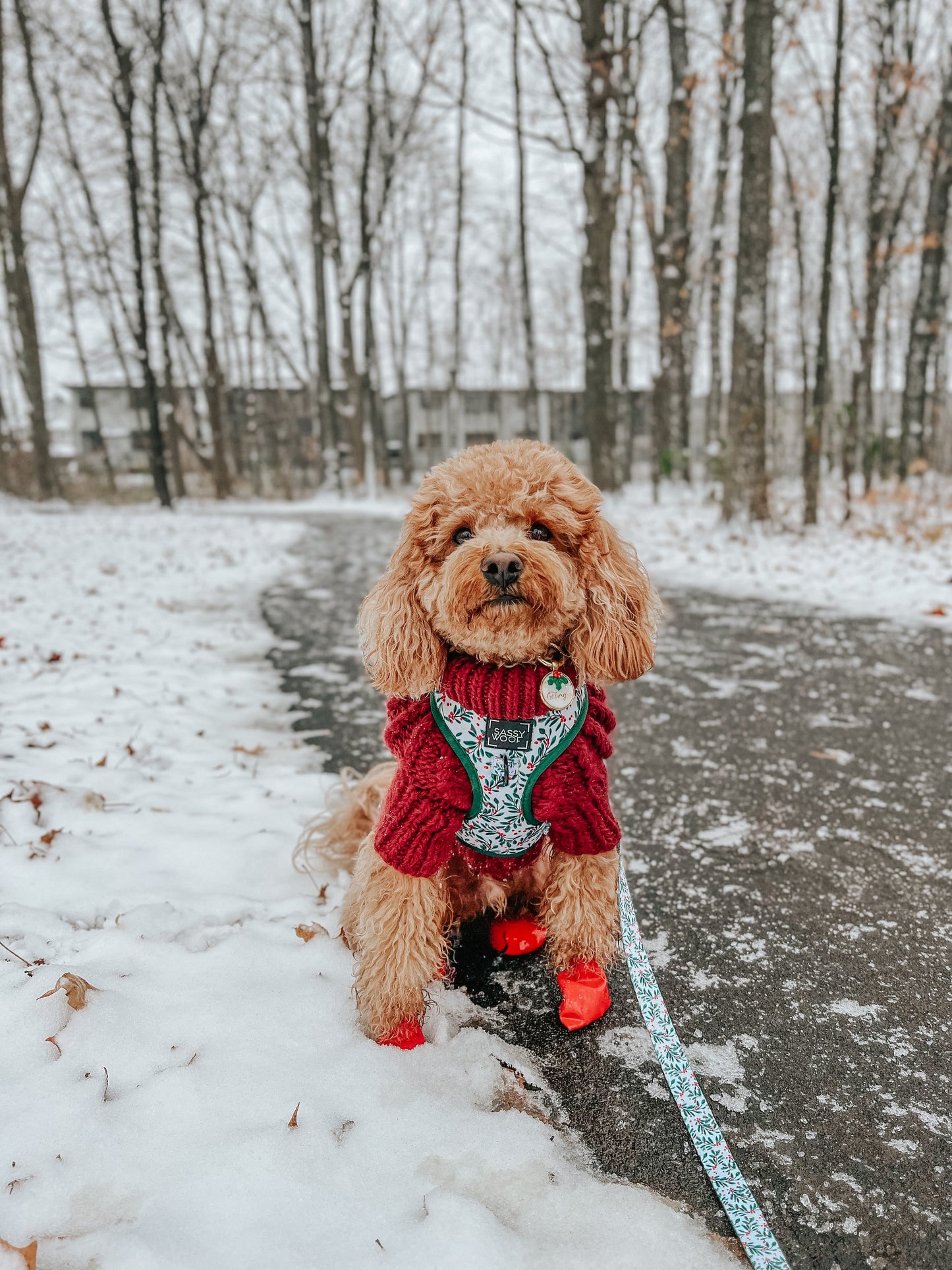 Dog Adjustable Harness - Under the Mistletoe