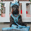 Dog Leash - Disney's Stitch