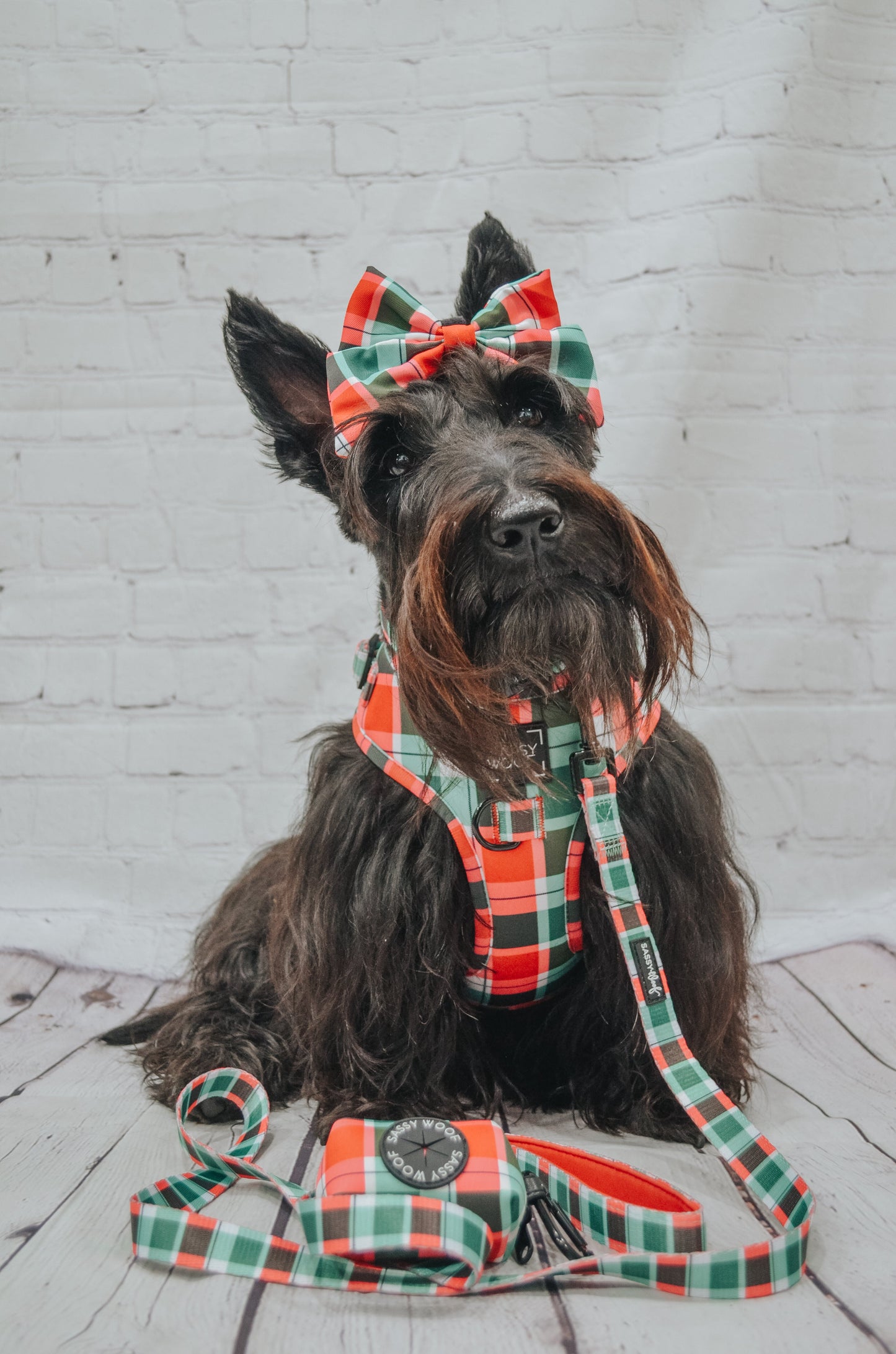 Dog Adjustable Harness - Jingle Barks
