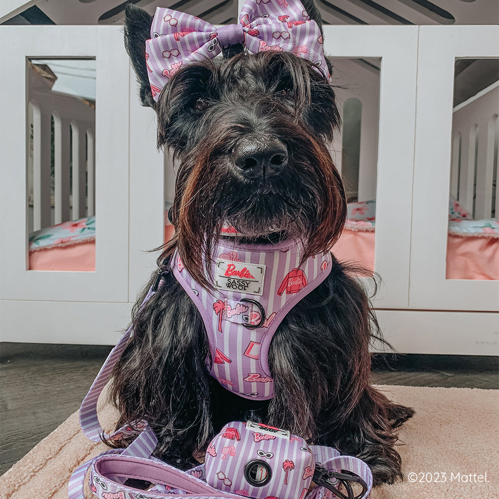 Dog Adjustable Harness - BARBIE™ Closet Goals