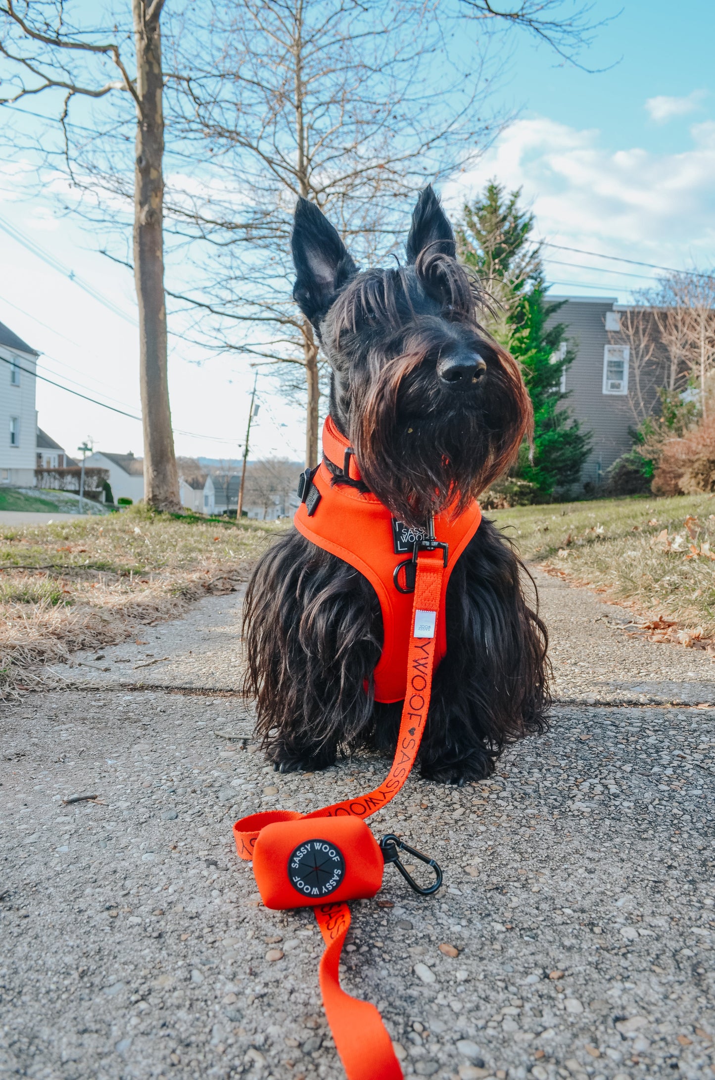 Dog Leash - Neon Red