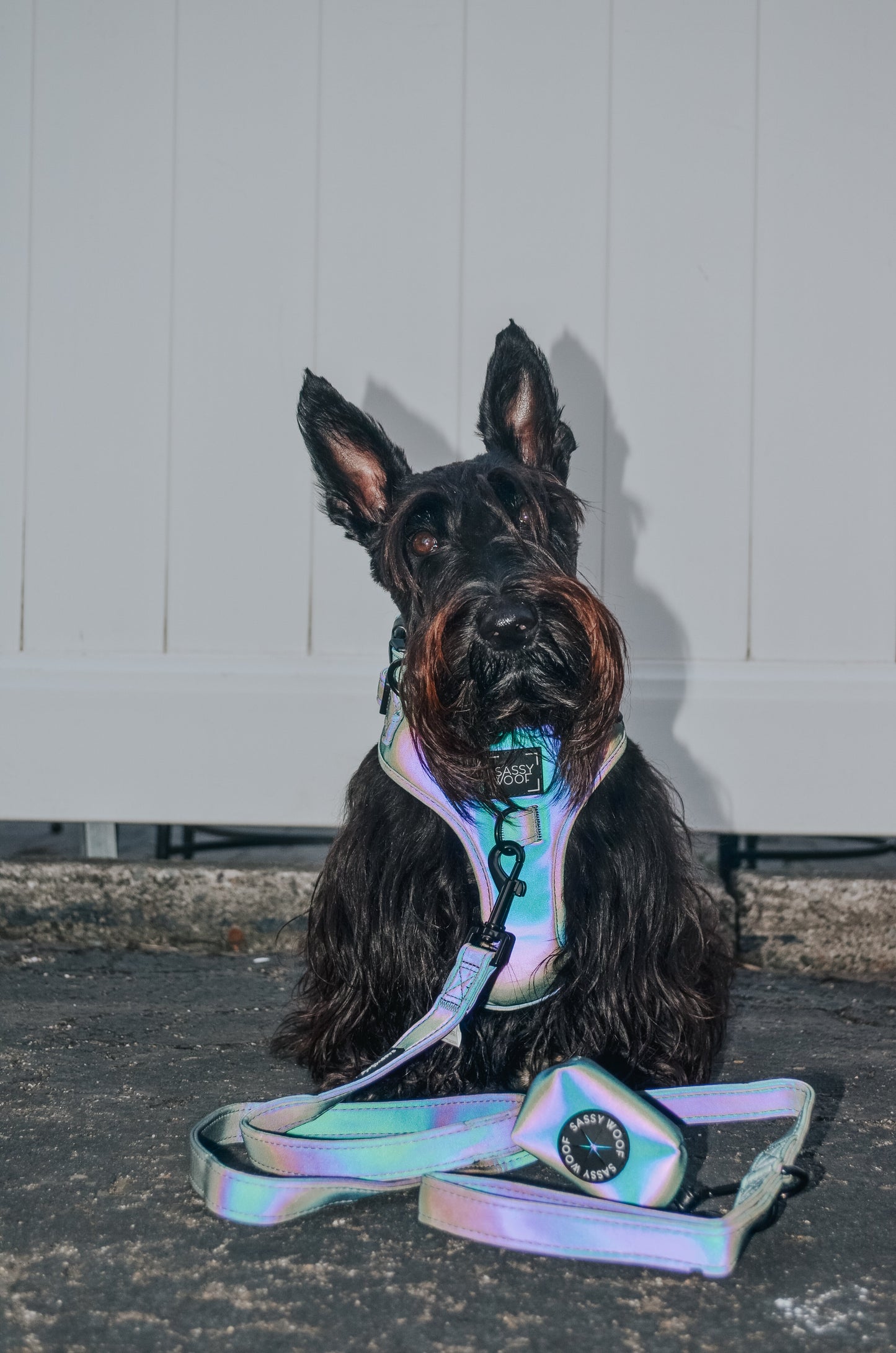 Dog Adjustable Harness - Reflection