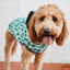 Reversible Elasto-Fit Raincoat - Green/Green