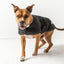 Blanket Jacket - Black