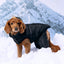 Odyssey Snowsuit