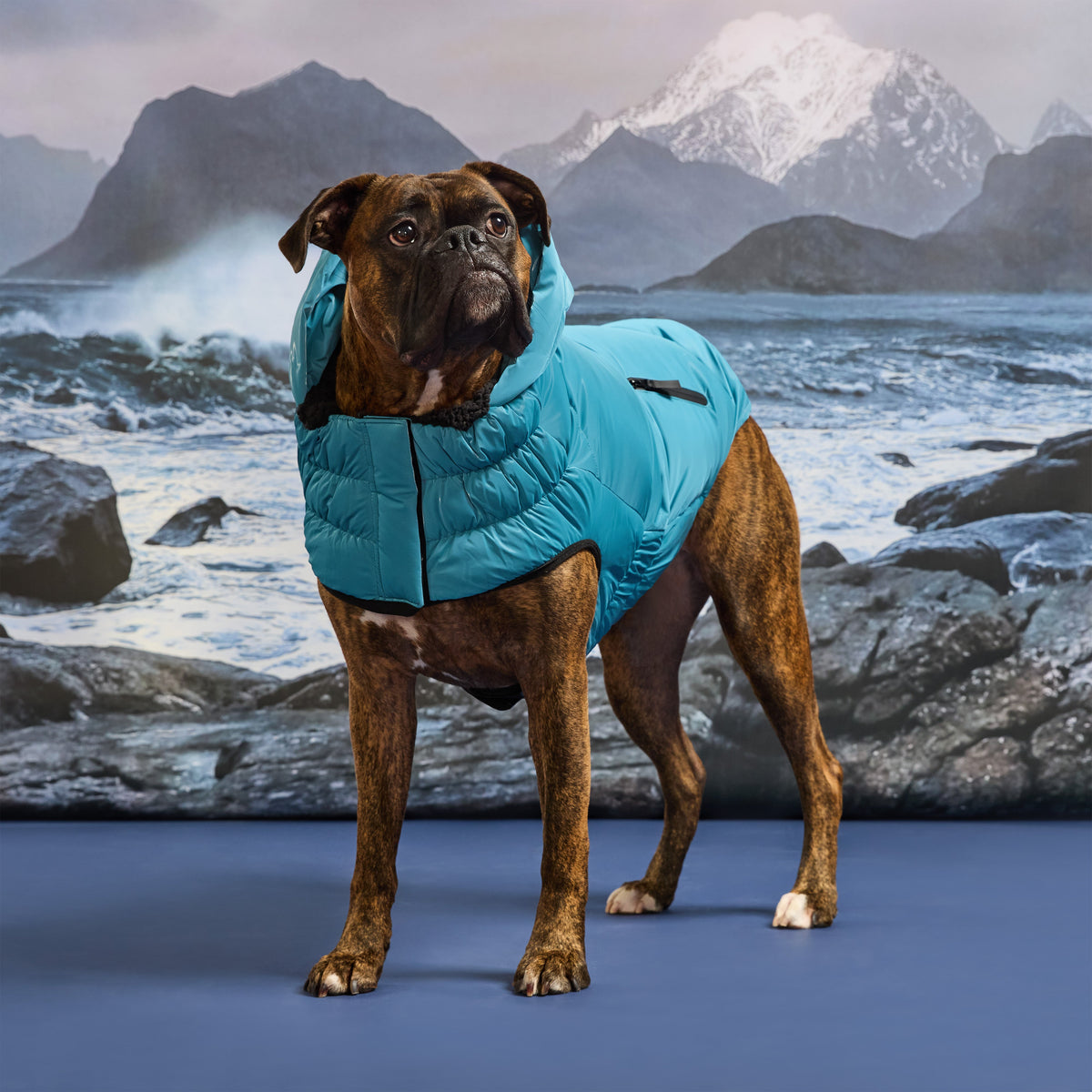 Storm Glide Parka