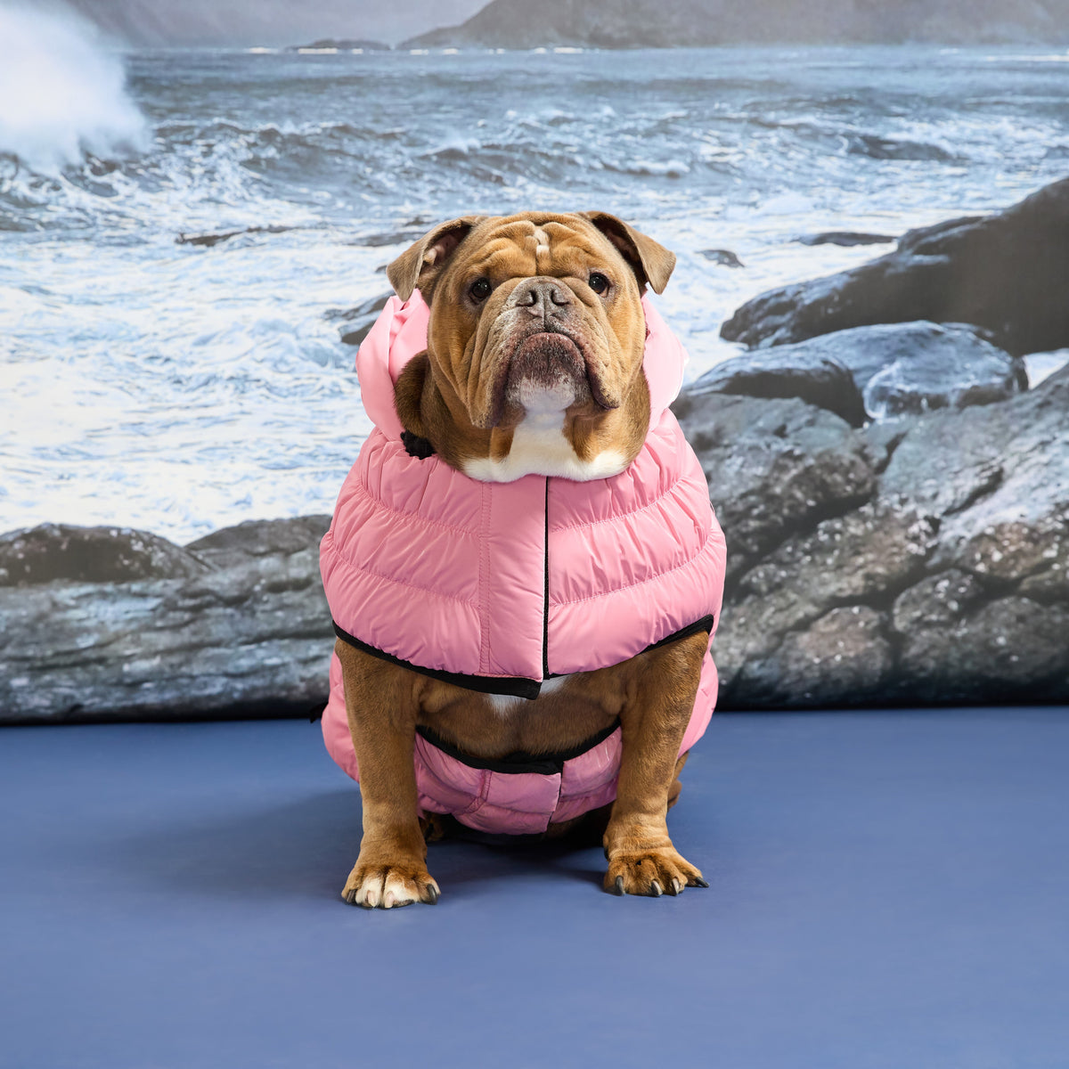 Storm Glide Parka