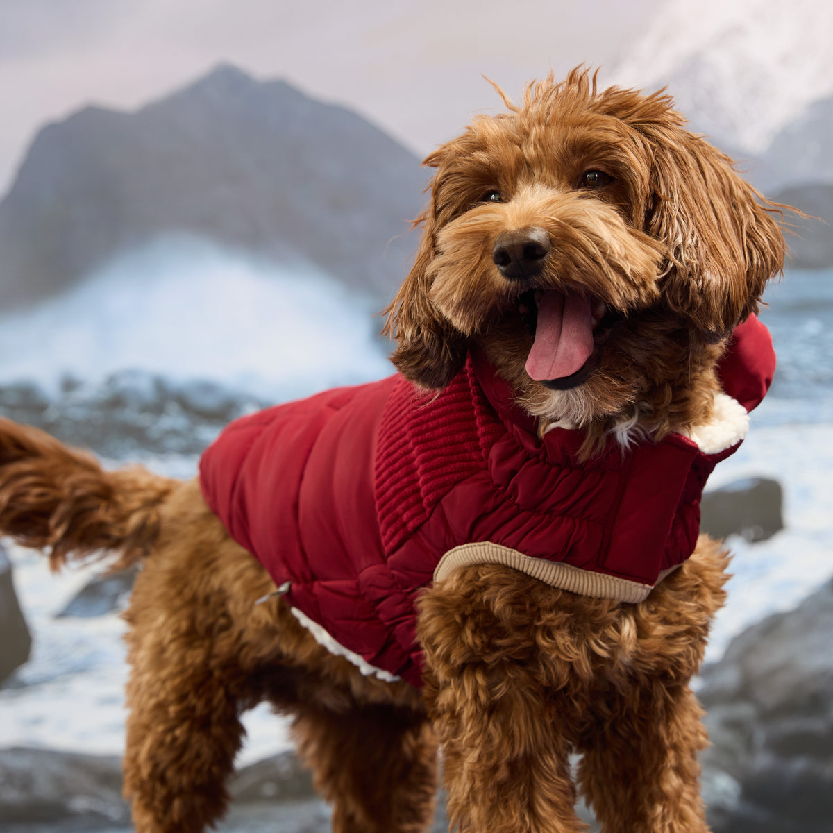 Cold Mountain Puffer