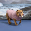 Cold Mountain Puffer