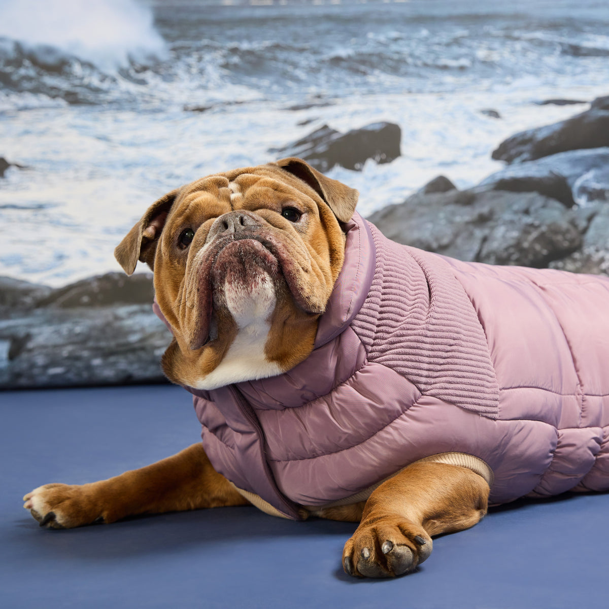 Cold Mountain Puffer