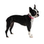 Reflective Collar - Neon Pink