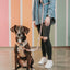 Hands Free Rope Leash - Rose All Day