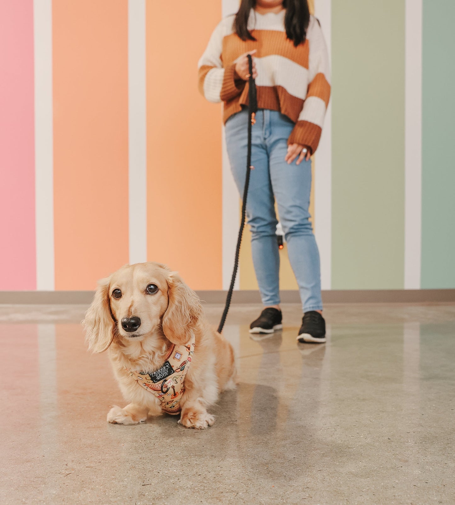 Hands Free Rope Leash - Noir