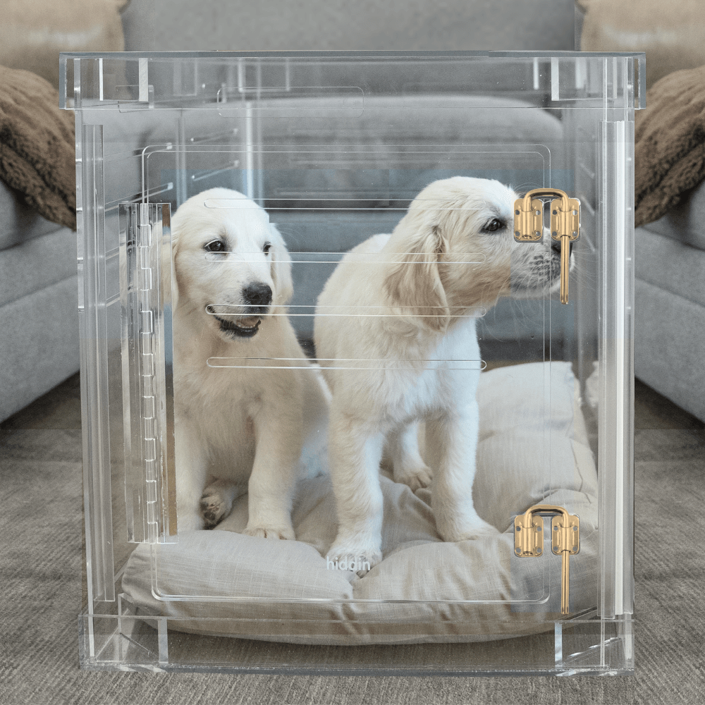 Medium Crate (Gold Latch)