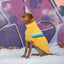Alpine Sweater - Yellow