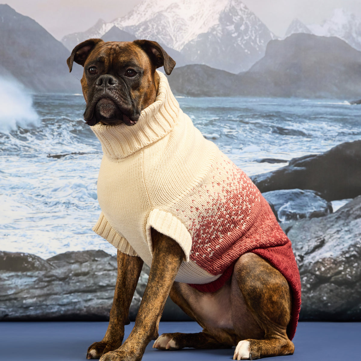 Fisherman Sweater