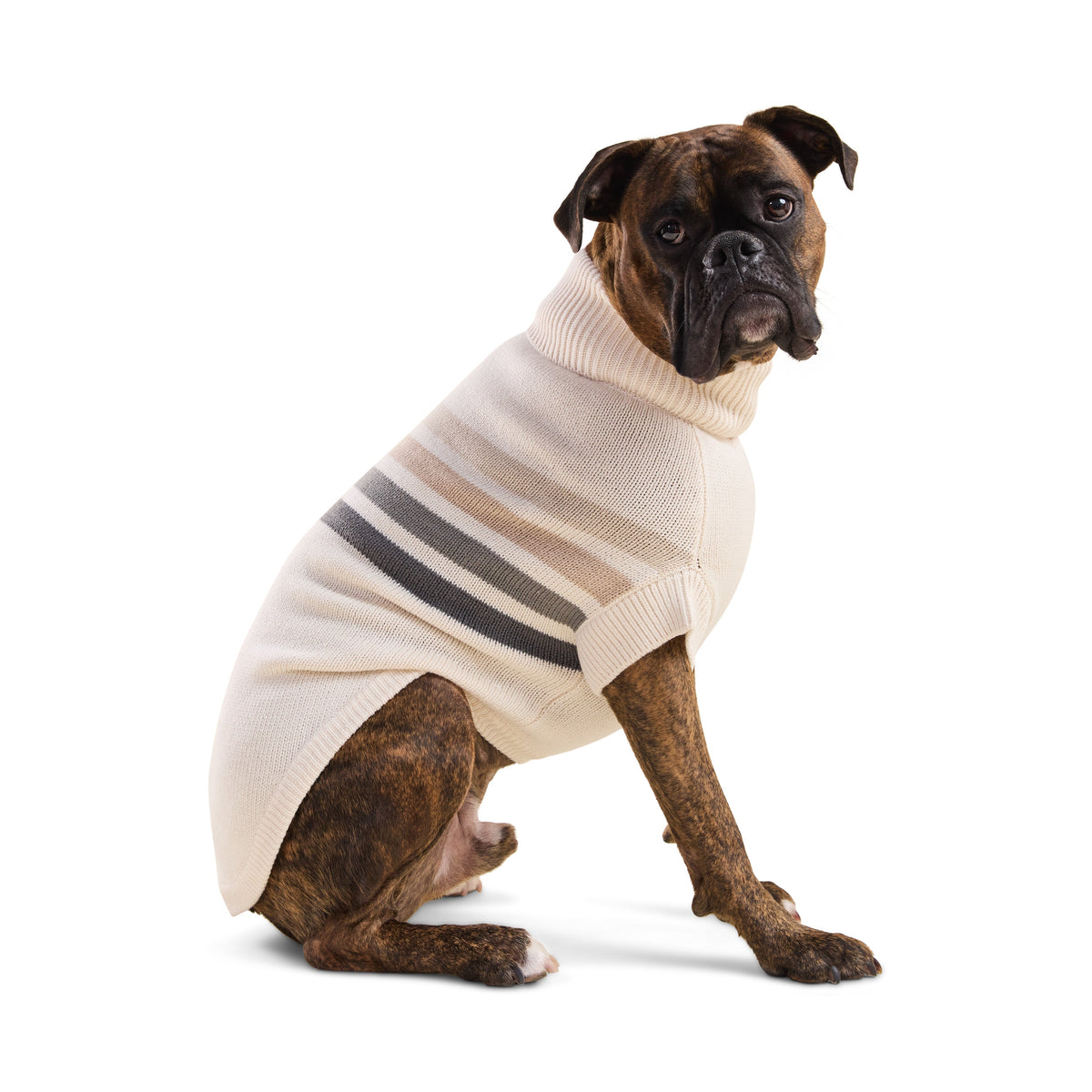 Coastline Knit Sweater