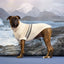 Coastline Knit Sweater