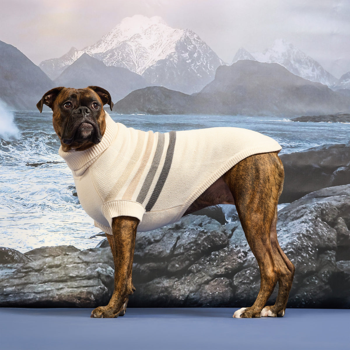 Coastline Knit Sweater
