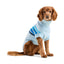 Coastline Knit Sweater