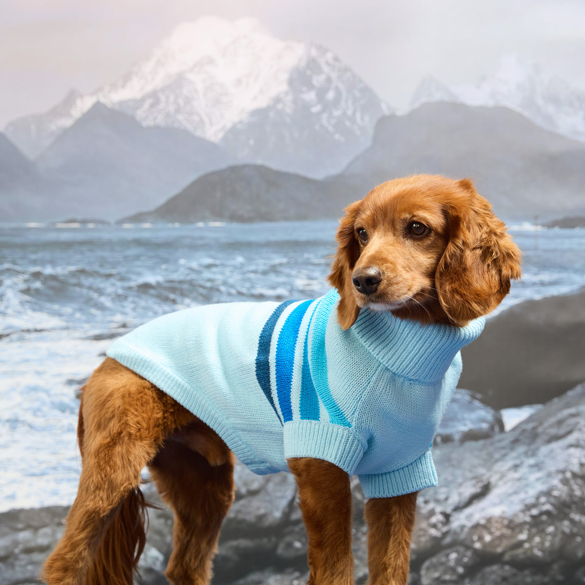 Coastline Knit Sweater