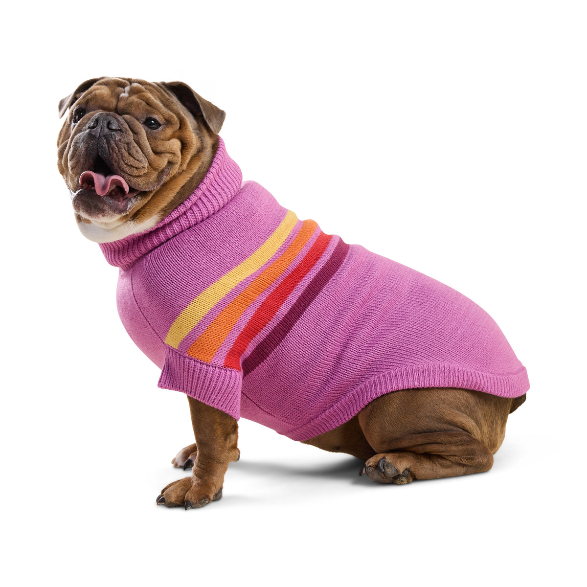 Coastline Knit Sweater