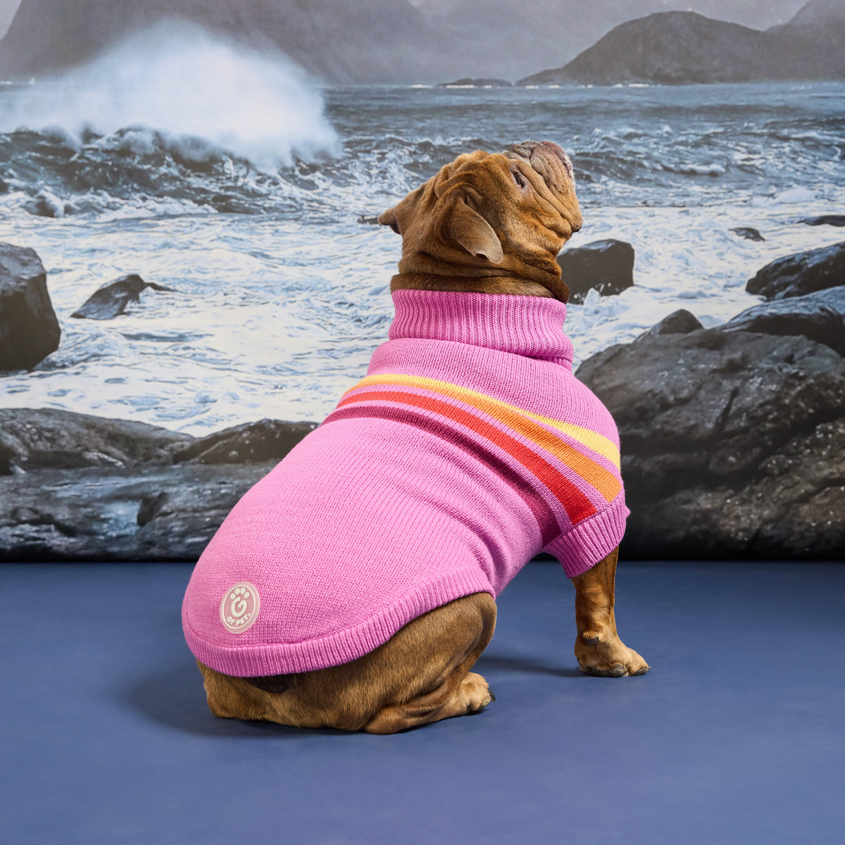 Coastline Knit Sweater