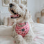 Dog Adjustable Harness - Sweet Treats