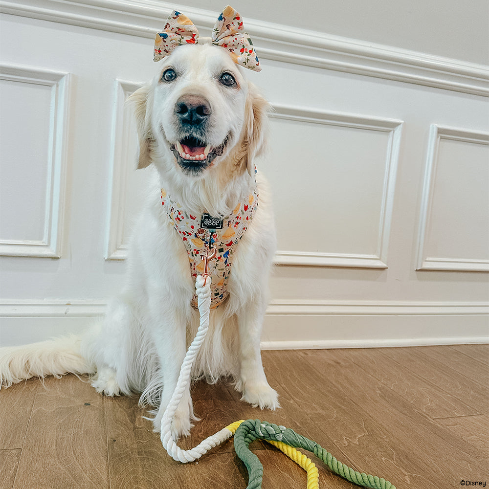 Dog Adjustable Harness - Disney's Belle