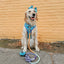 Dog Adjustable Harness - STAR WARS™ The Mandalorian™