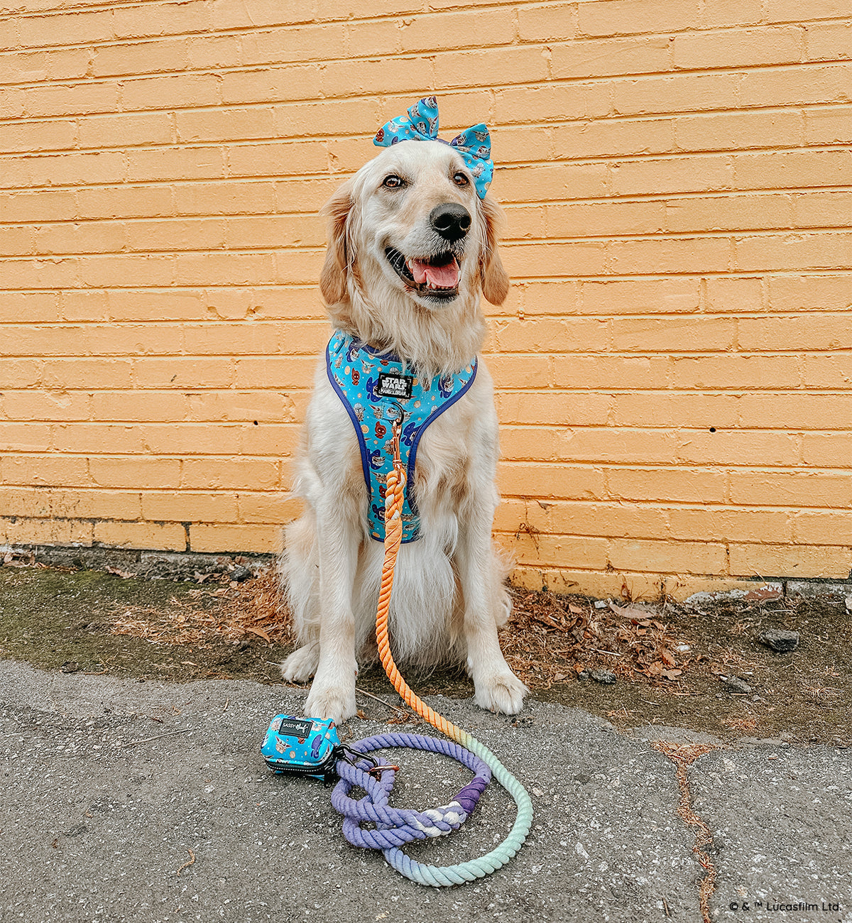 Dog Adjustable Harness - STAR WARS™ The Mandalorian™