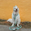 Dog Adjustable Harness - STAR WARS™ The Child™