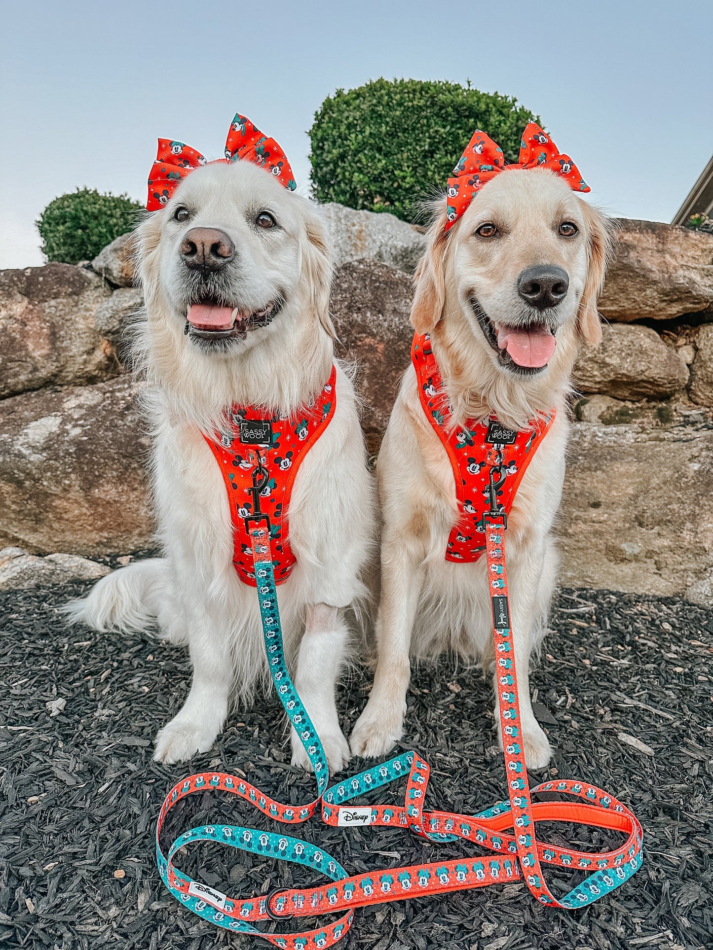 Dog Adjustable Harness - Disney Holiday Collection