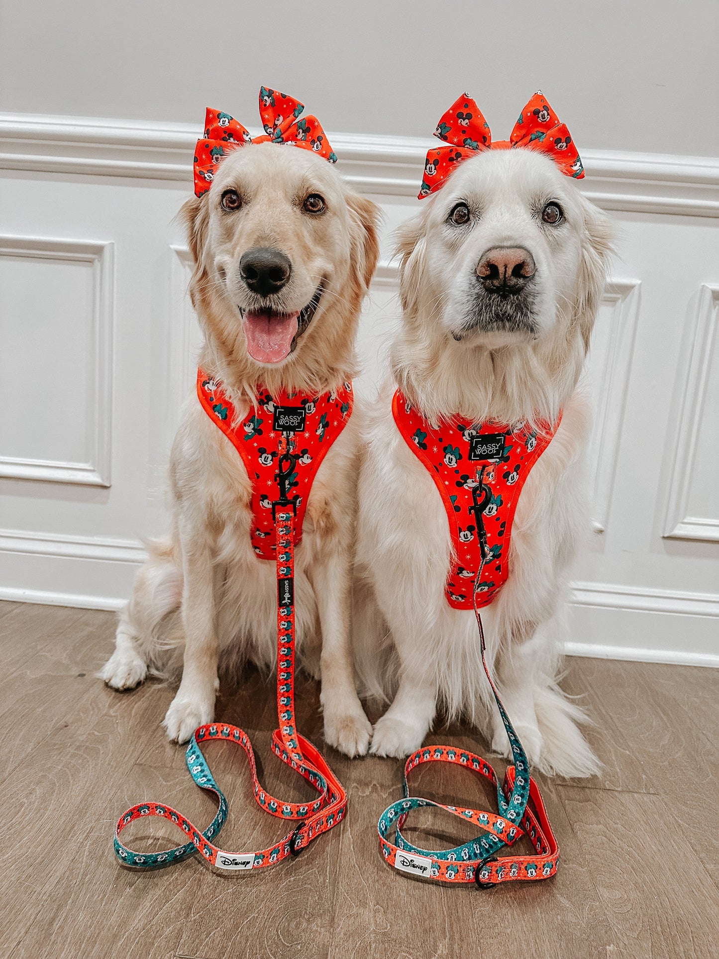 Dog Adjustable Harness - Disney Holiday Collection