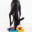 Pawzler Set - Genius
