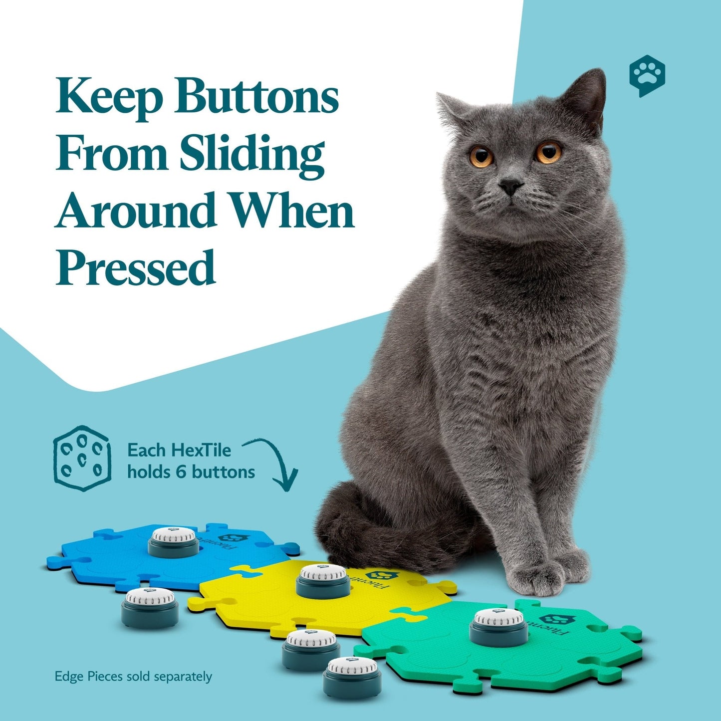 Get Started Kit Bold
