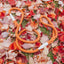 Dog Rope Leash - Clementine