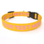 Personalized Dog Collar with Name - Solid Colors