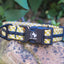 Adventure Dog Collar - Greens/Yellows