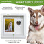 Green Pollywog Pet Memorial Shadowbox | Collar, Tag & Photo Keepsake