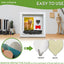 Green Pollywog Pet Memorial Shadowbox | Collar, Tag & Photo Keepsake