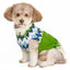 Spring Ski Bum Dog Sweater