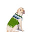 Spring Ski Bum Dog Sweater
